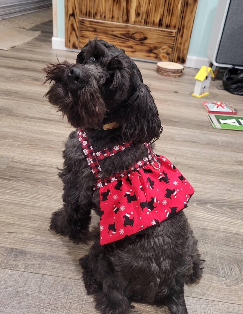 Christmas Dog Harness Dress | Skirted halter | Dog Dress halter leash Winter | Snowflake | Scottie Dogs | Holiday print dress | MakerPlace by Michaels Christmas Dog Harness Dress | Skirted halter | Dog Dress halter leash Winter | Snowflake | Scottie Dogs | Holiday print dress | MakerPlace by Michaels